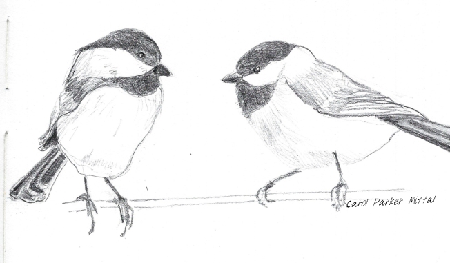 Pencil drawing of chickadees